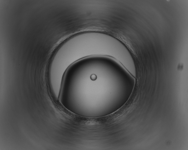 X0000089750348200707121346