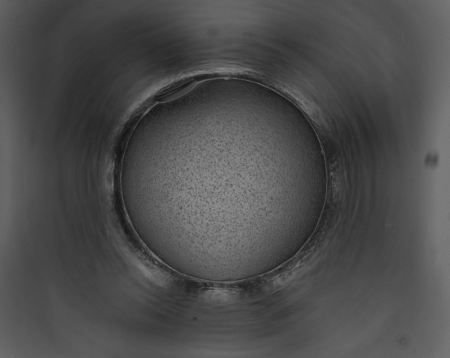 X0000089750350200707121346