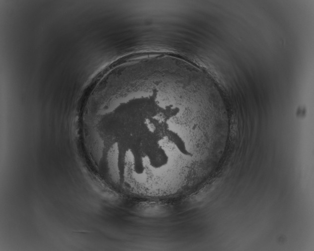 X0000089750351200707121346