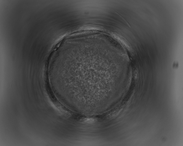 X0000089750352200707121346