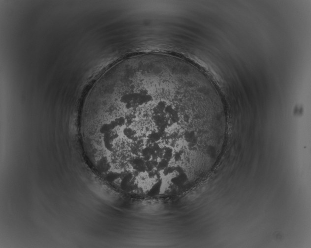 X0000089750353200707121346