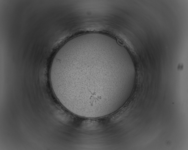 X0000089750354200707121346