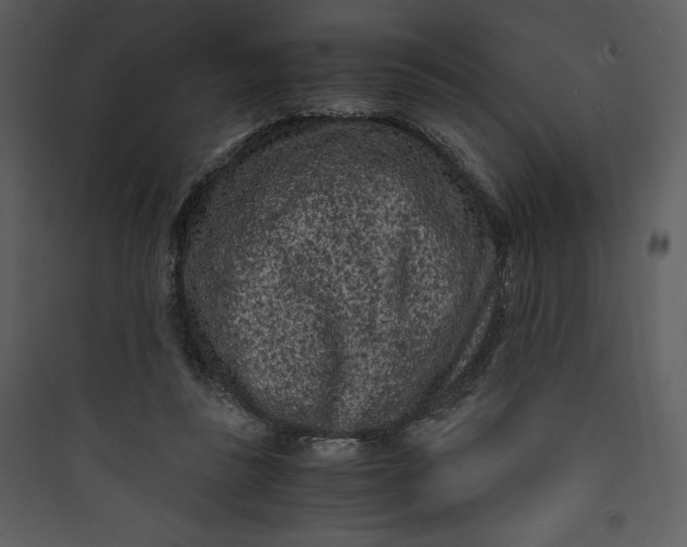 X0000089750355200707121346