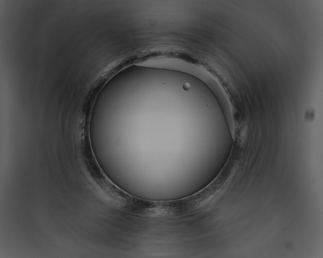 X0000089750356200707121346