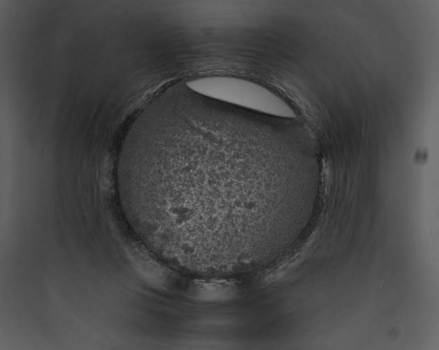 X0000089750359200707121346