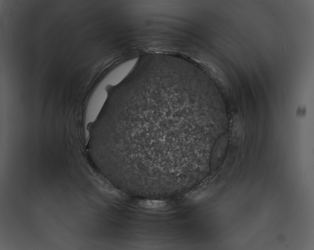 X0000089750361200707121346