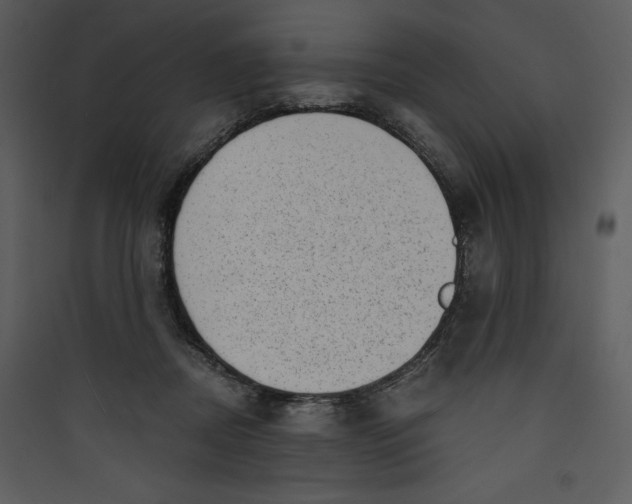 X0000089750362200707121346