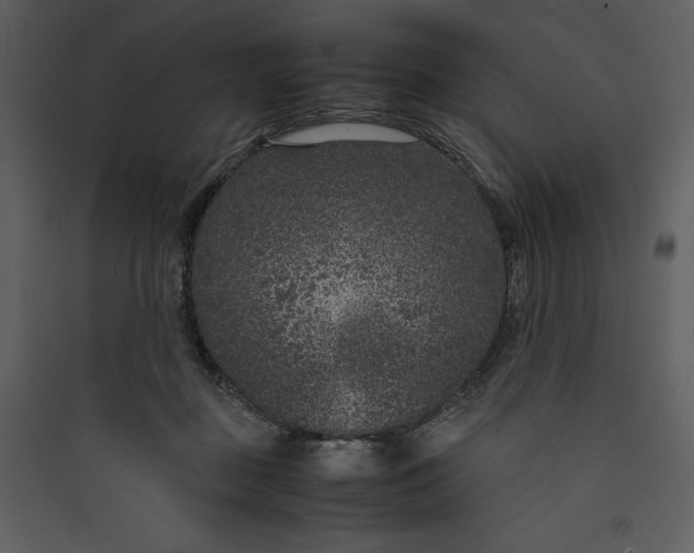 X0000089750363200707121346