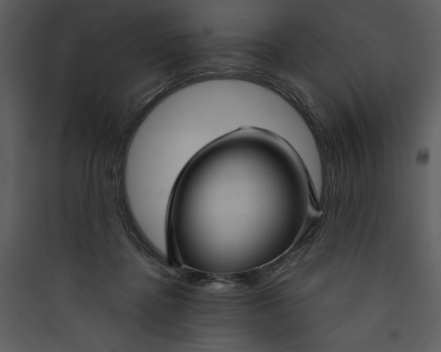 X0000089750364200707121346