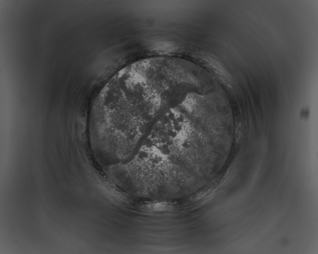 X0000089750365200707121346