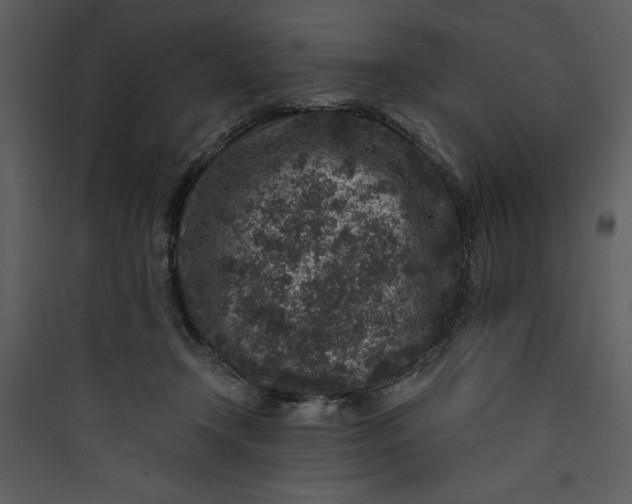 X0000089750366200707121346