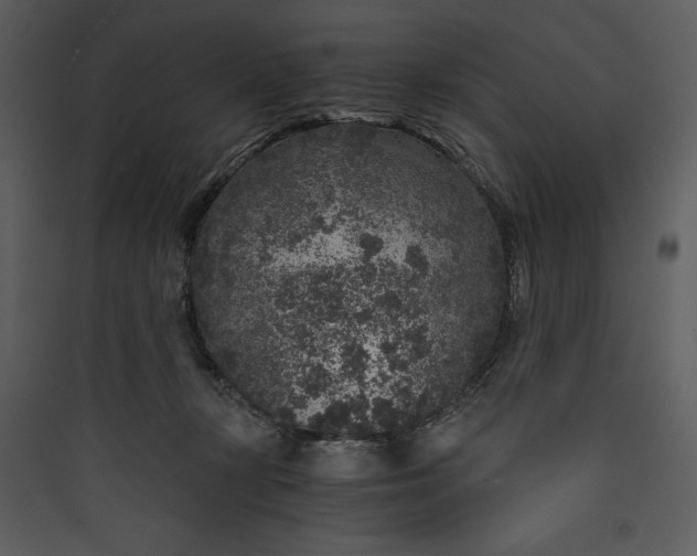 X0000089750367200707121346