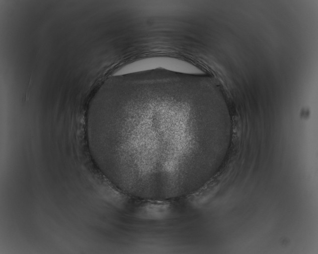 X0000089750369200707121346