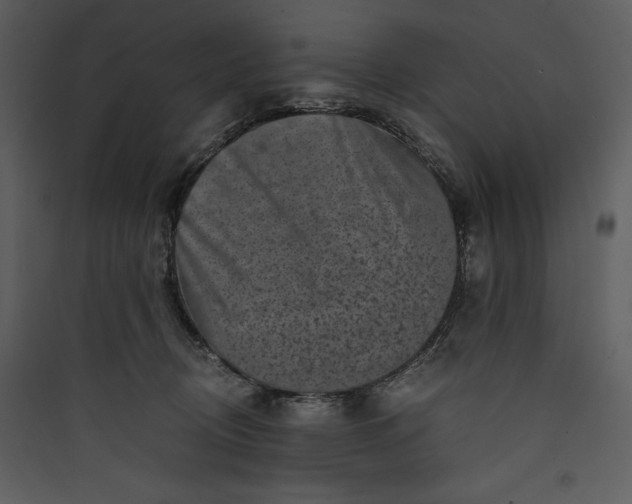 X0000089750370200707121346