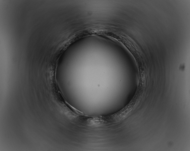 X0000089750372200707121346