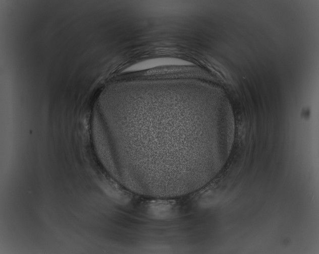 X0000089750373200707121346