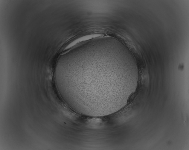 X0000089750374200707121346