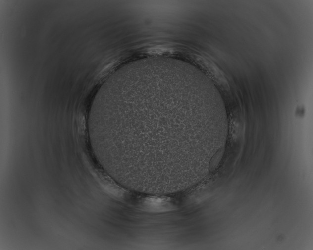 X0000089750375200707121346