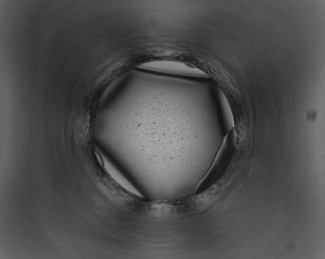 X0000089750376200707121346