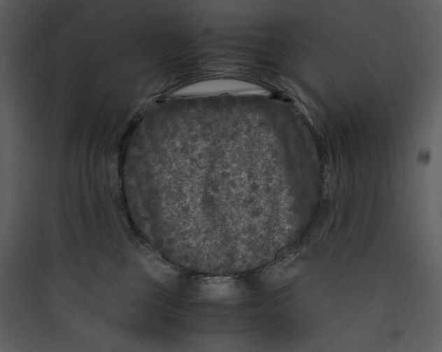 X0000089750377200707121346