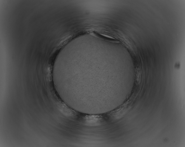 X0000089750378200707121346