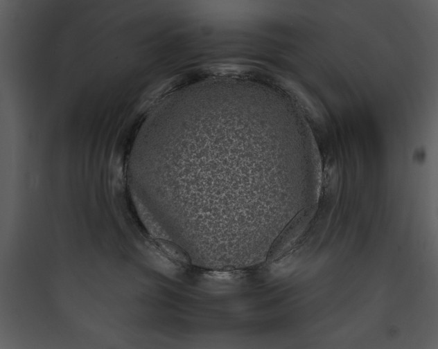 X0000089750381200707121346