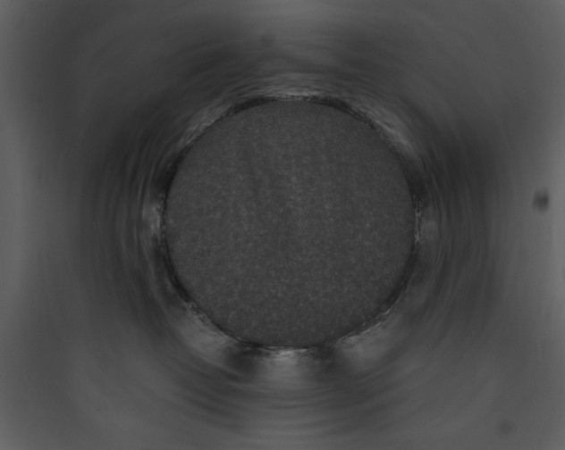 X0000089750382200707121346