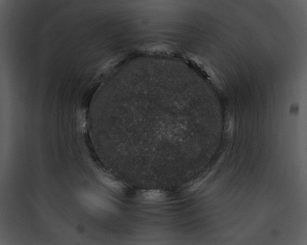 X0000089750383200707121346