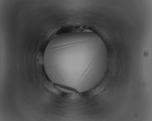 X0000089750384200707121346