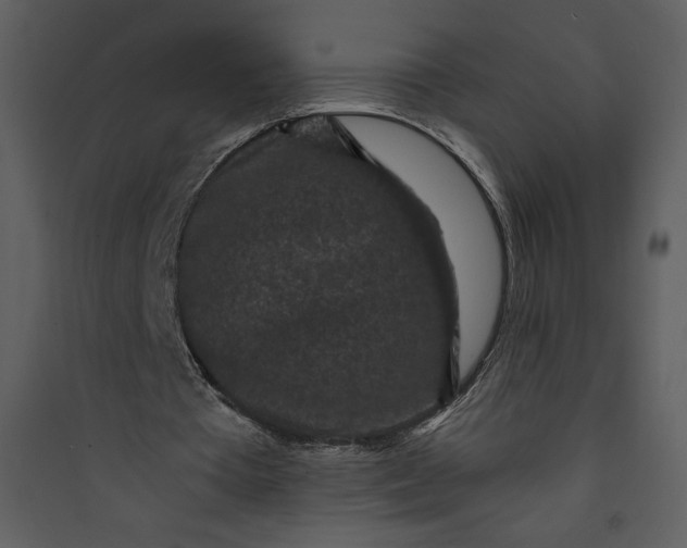 X0000089750385200707121346