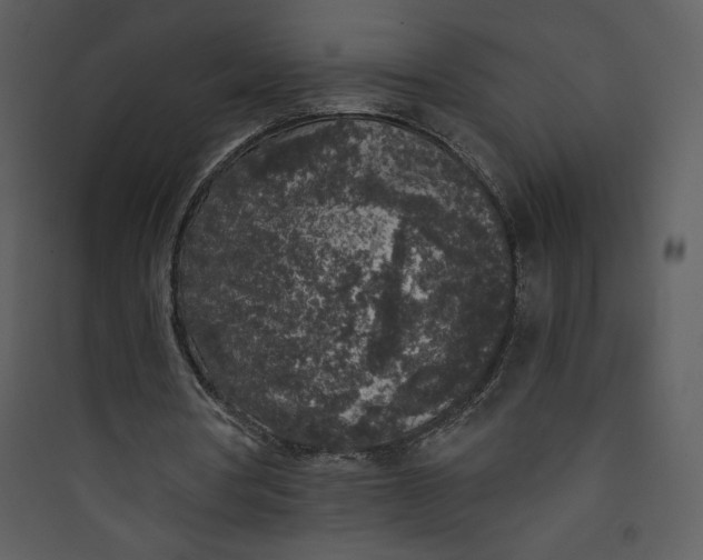 X0000089750386200707121346