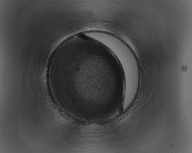 X0000089750387200707121346