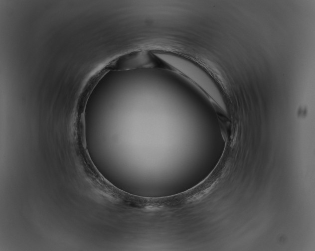 X0000089750388200707121346