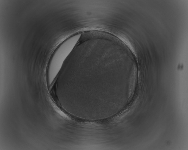 X0000089750389200707121346