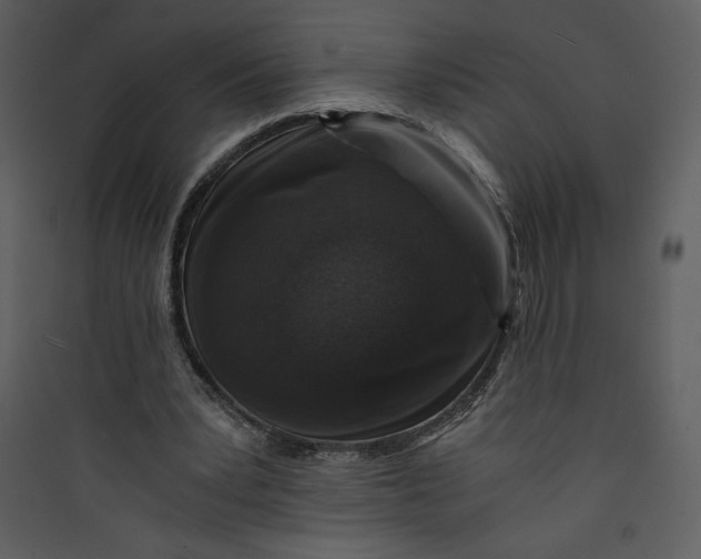 X0000089750391200707121346