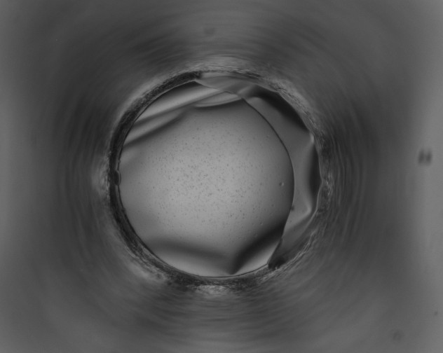 X0000089750392200707121346