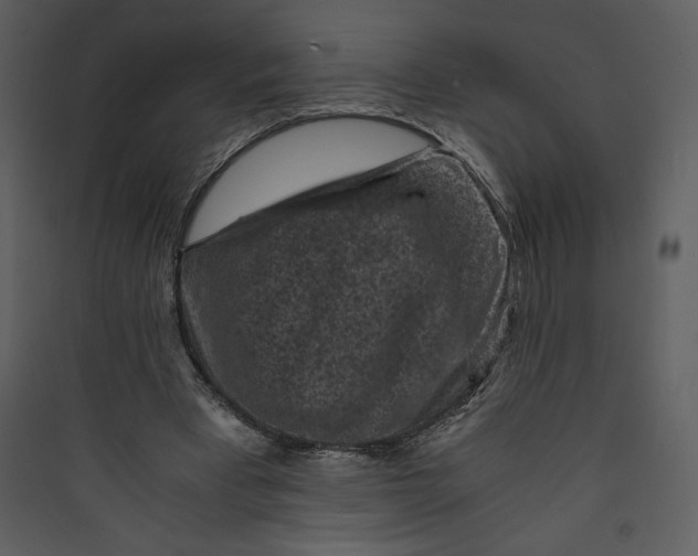 X0000089750393200707121346