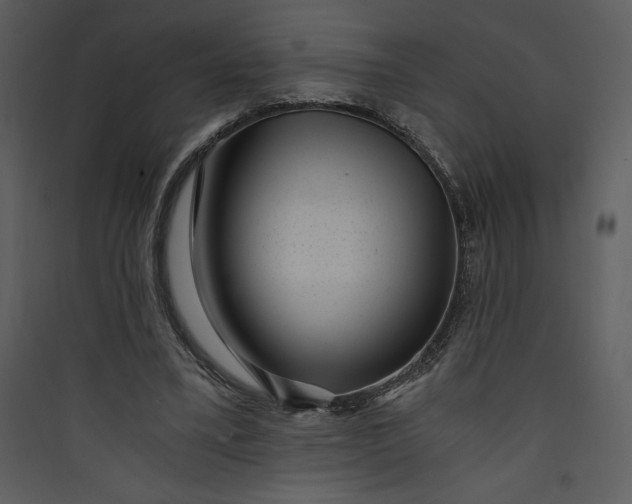 X0000089750395200707121346