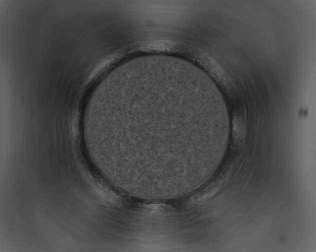 X0000089750396200707121346