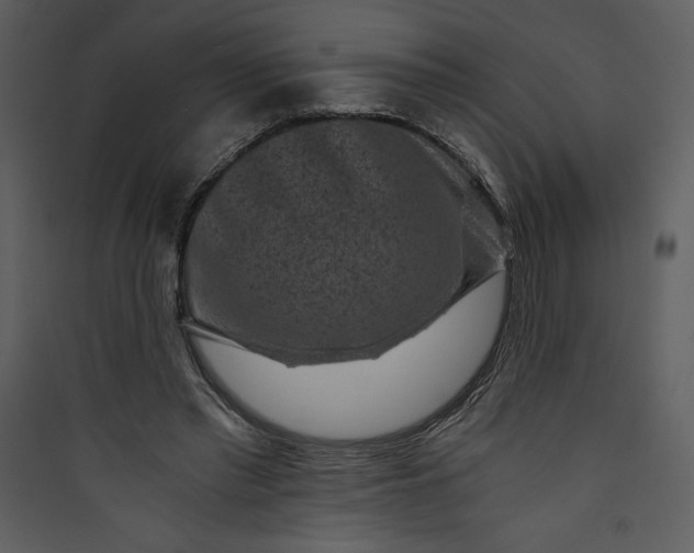 X0000089750397200707121346