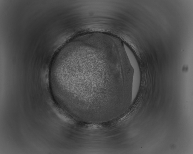 X0000089750398200707121346