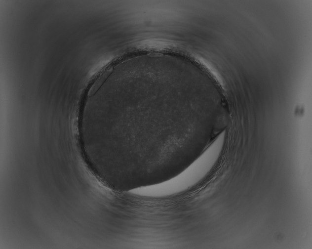 X0000089750399200707121346