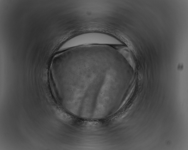 X0000089750401200707121346