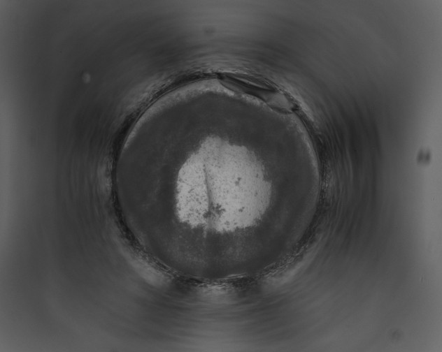 X0000089750402200707121346