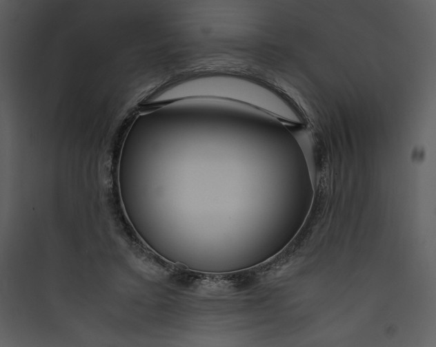 X0000089750403200707121346