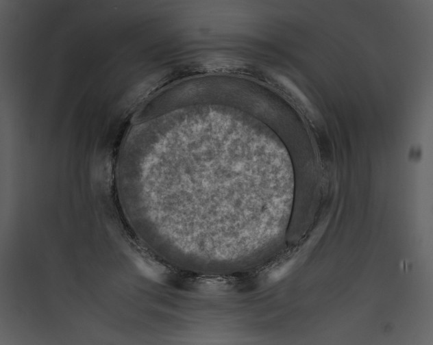 X0000089750405200707121346