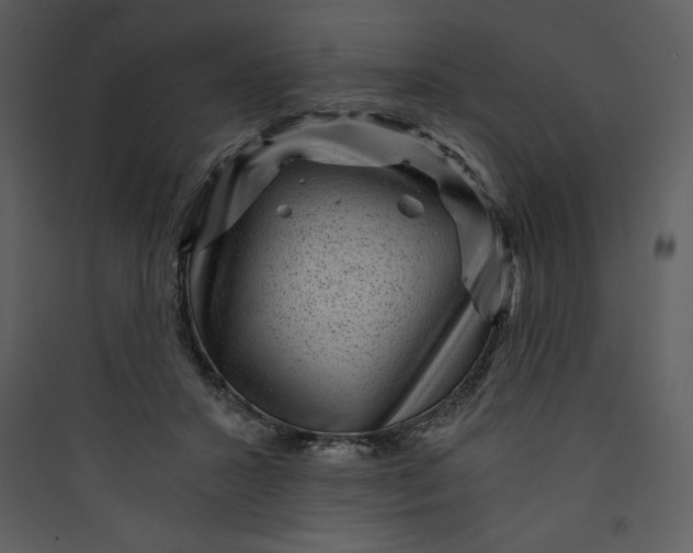 X0000089750407200707121346