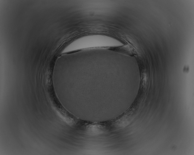 X0000089750408200707121346