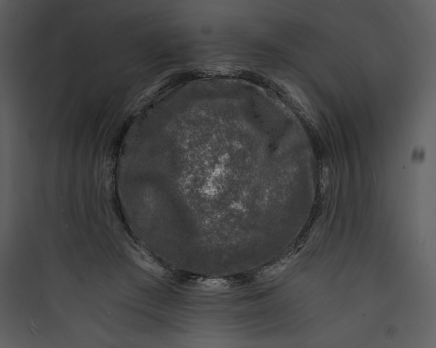 X0000089750409200707121346