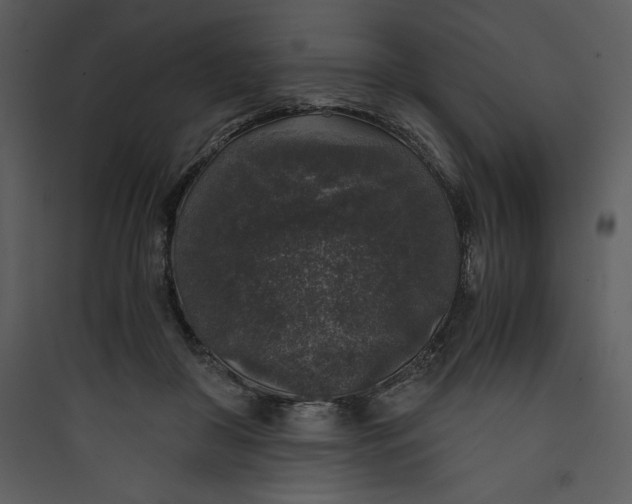 X0000089750410200707121346